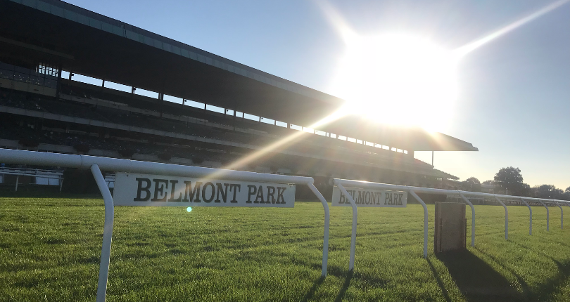 ​The Foxes leads international raiders in competitive G1 Belmont Derby Invitational