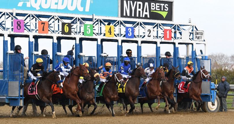 2023 Aqueduct fall meet to feature 33 stakes worth $6.385 million