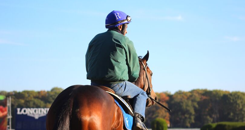 Breeders’ Cup contenders on the work tab at Belmont Park