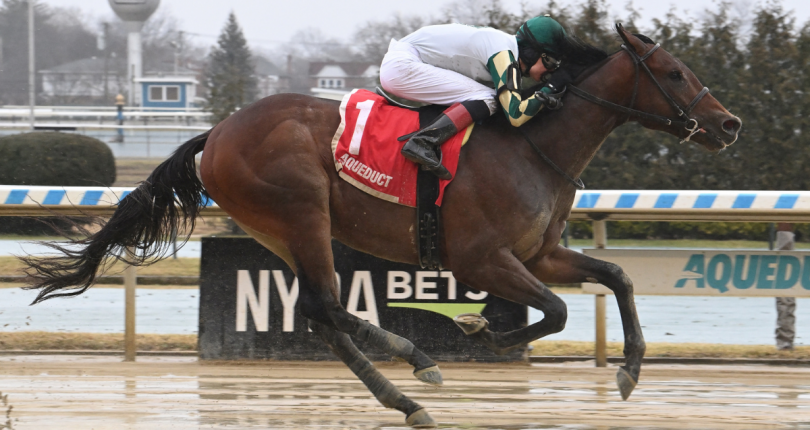 Clement holds strong pair in G3 Gotham with Deterministic, Capital Idea