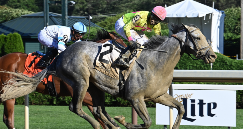 Dr Ardito one of three G2 Cigar Mile contenders for Brown; Sierra Leone possible for G2 Remsen