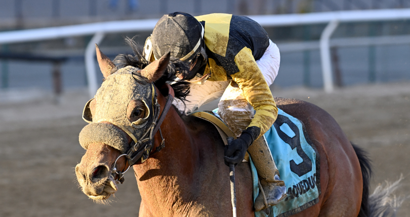 NYSSS Great White Way runner-up Un Ojo targeting G3 Withers