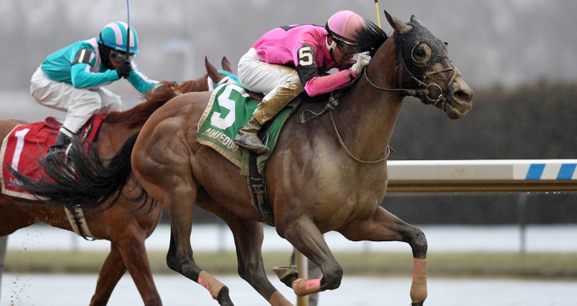 ​Mosienko, Locally Owned lead the way with winning efforts on New York Claiming Championship Day