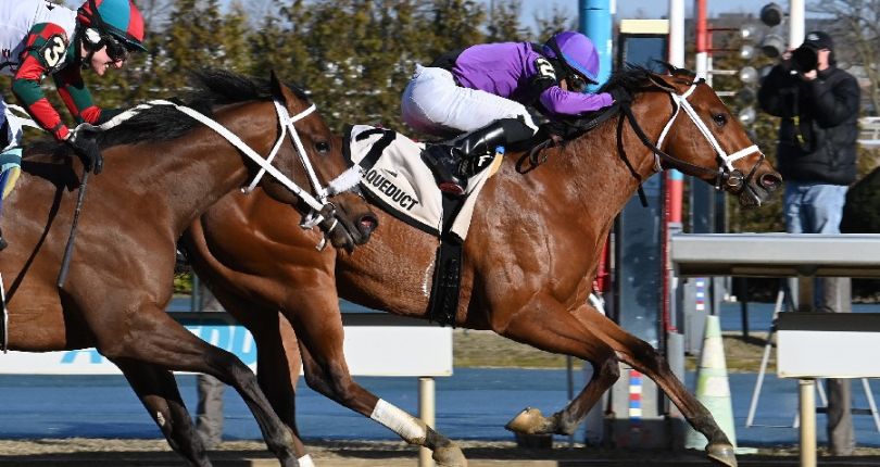 Looms Boldly wins gate-to-wire in $100K Damon Runyon