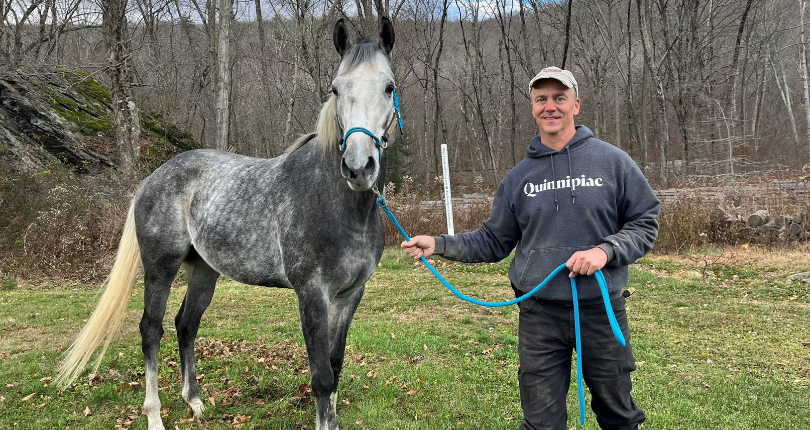 Stakes-winner Montauk Traffic a healing presence at Lucky Orphans Horse Rescue