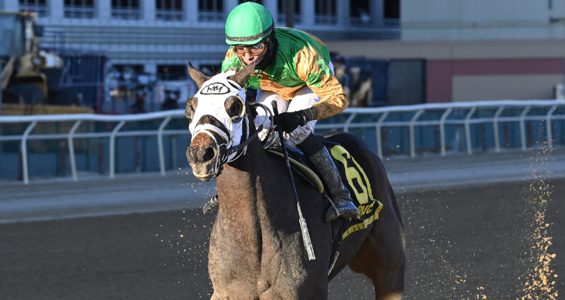 My Mane Squeeze goes for third straight stakes win in $100K Maddie May
