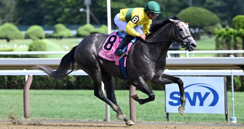 ​Maple Leaf Mel puts perfect record on the line in G3 Victory Ride