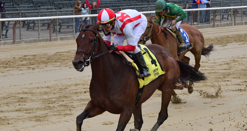 Search Results leads Chad Brown-trained exacta in G2 Ruffian