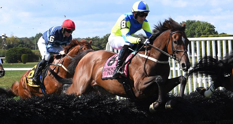 Snap Decision back to hurdles in G1 Jonathan Sheppard