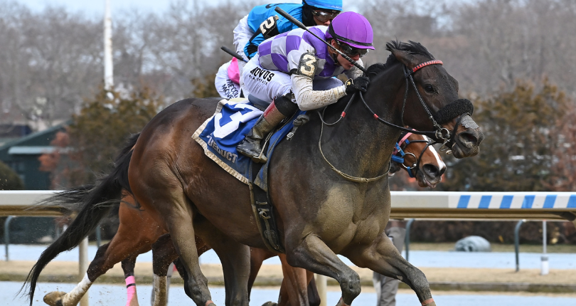 ​Timeless Journey pounces to victory in $100K Biogio’s Rose