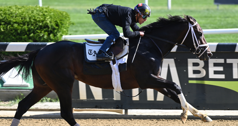 Forte breezes five furlongs for G1 Belmont Stakes presented by NYRA Bets