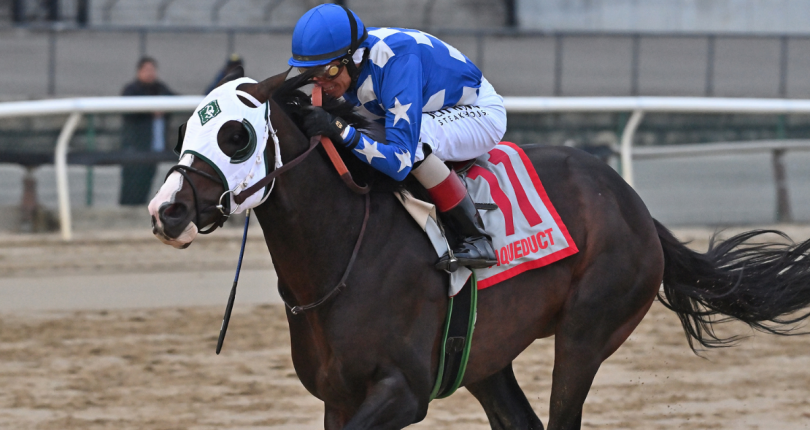 Hoist the Gold rockets to victory in G2 Cigar Mile Handicap presented by NYRA Bets