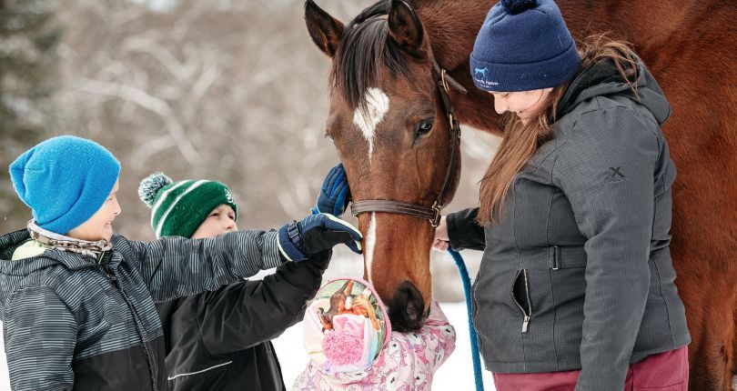 OTTB Kid Blast finds new career at Therapeutic Horses of Saratoga