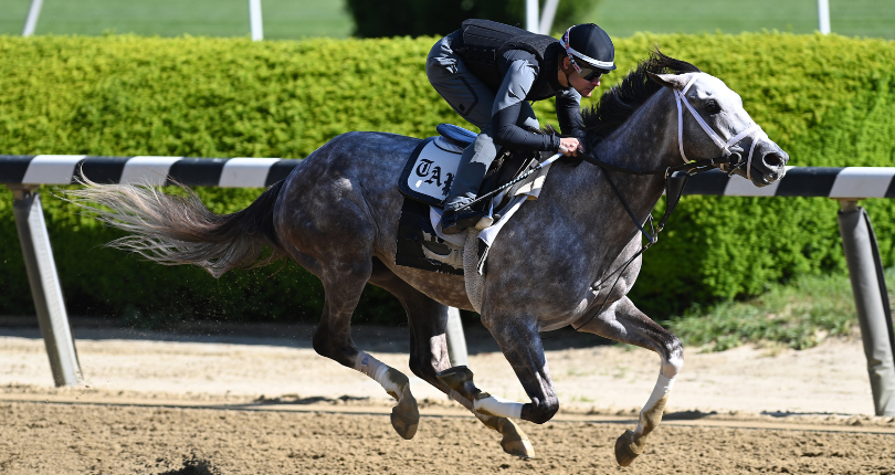 Tapit Trice ‘super’ in penultimate work for G1 Belmont Stakes presented by NYRA Bets; Forte slated t