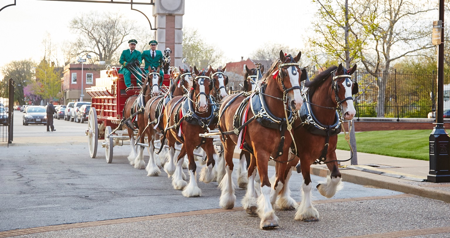 NYRA announces schedule for Budweiser Clydesdales visit to Saratoga