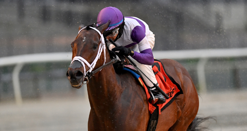 ​Today’s Flavor gets first taste of stakes glory in $100K Affirmed Success
